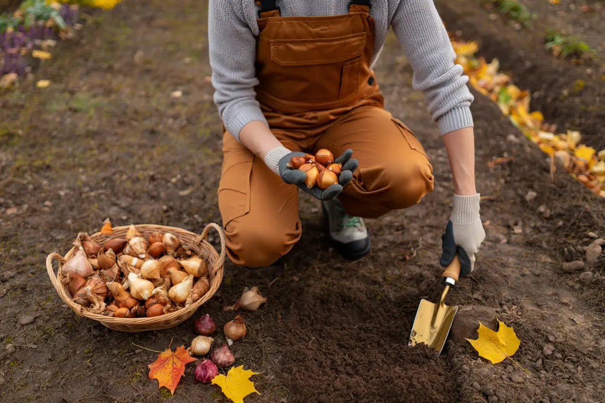 Bloembollen planten: wanneer en hoe doe je dat juist?