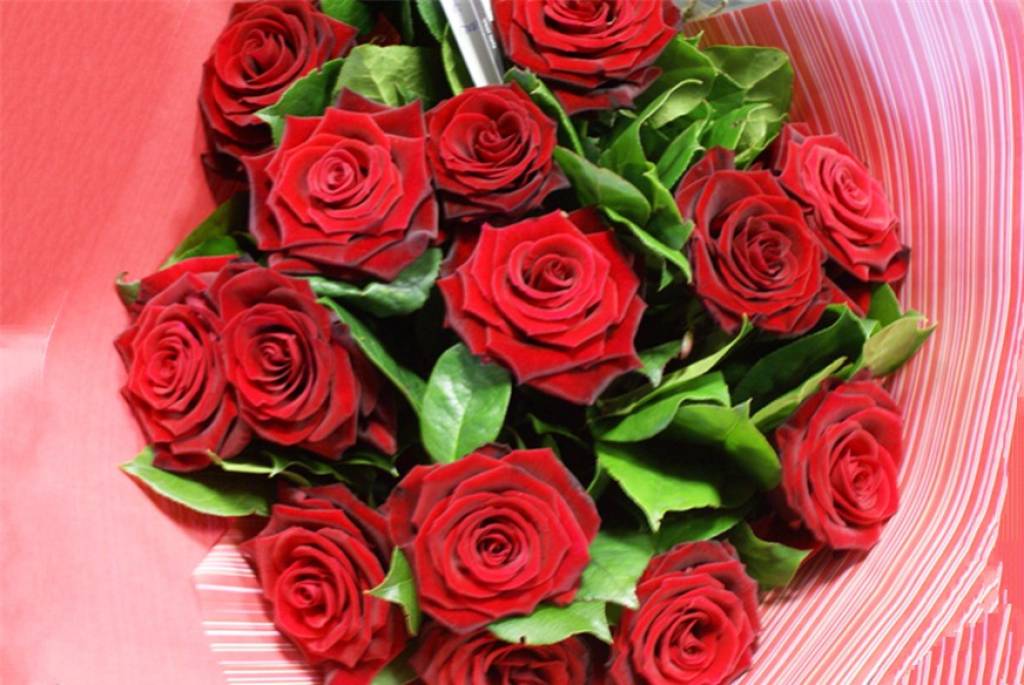 Boeket Rode rozen