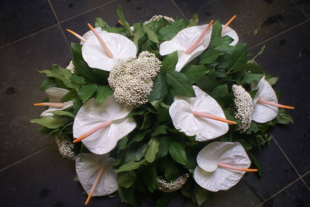 Rouwen 41