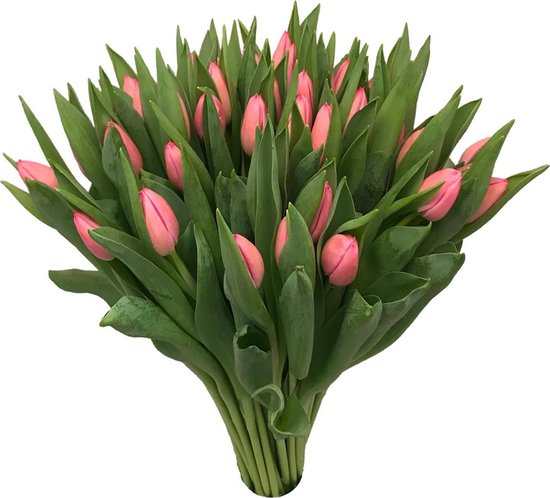Tulpen verzorging: hoe blijven tulipa bloemen langer mooi