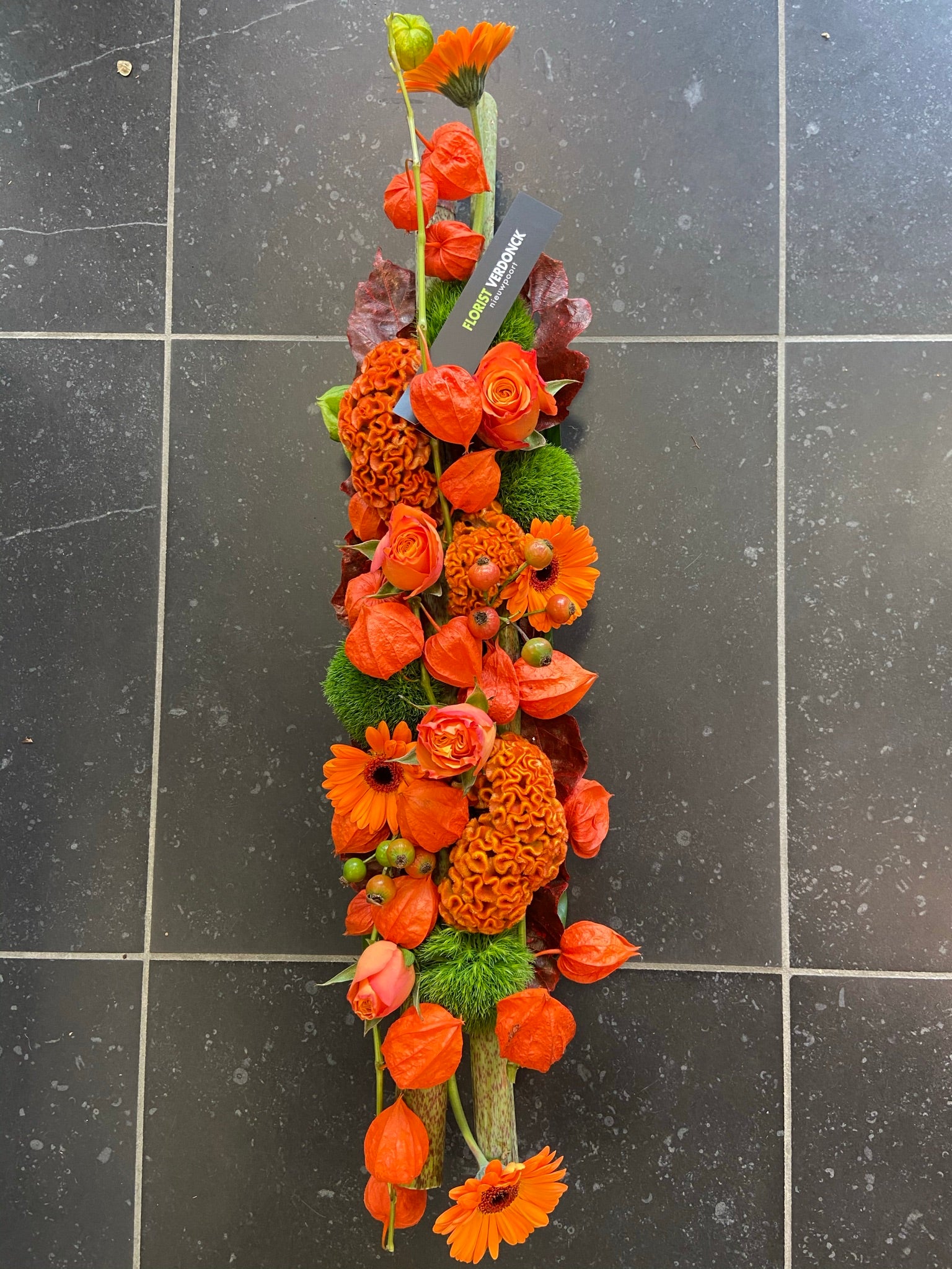 Langwerpig compact oranje