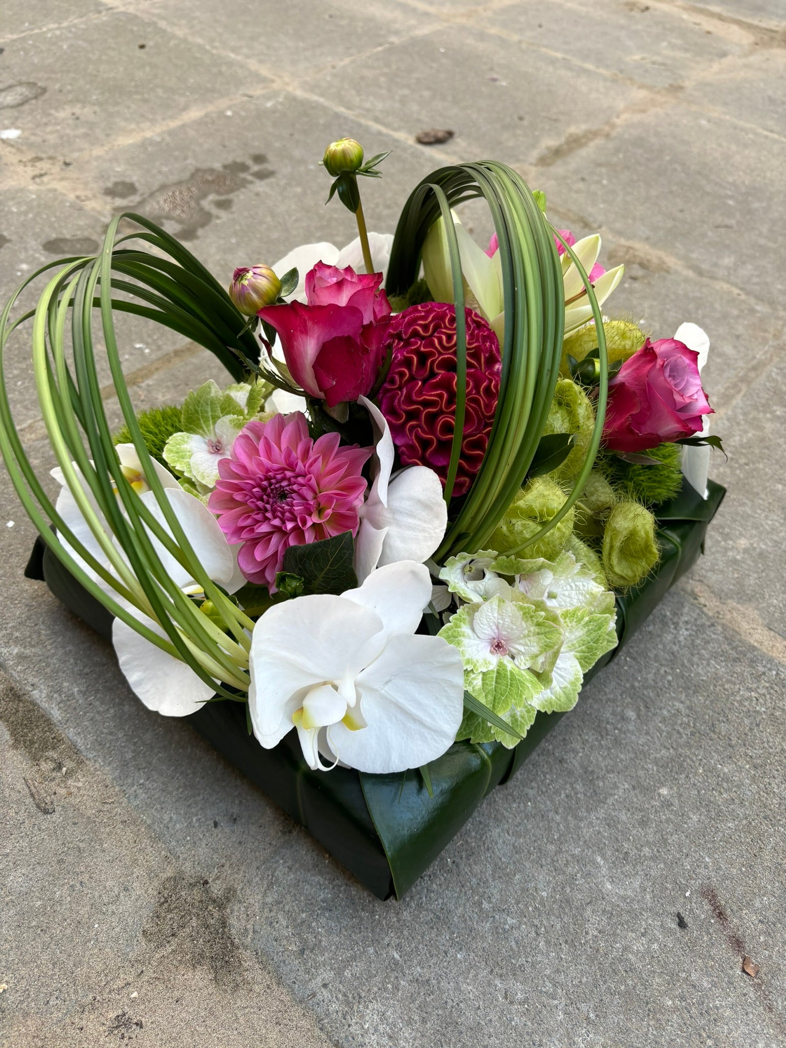 Hart wild flower