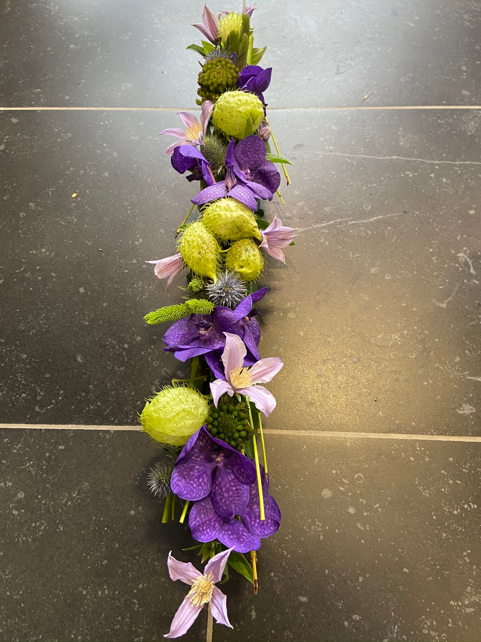 langwerpig vanda en groen tinten #4