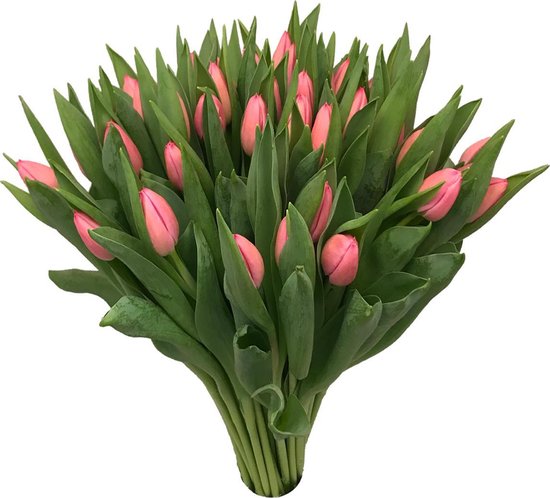 Tulpen Roze (per 10 stuks)
